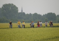 Eine Gruppen von Radfahrern auf einem Fahrradweg zwischen Getreidefeldern. Im Hintergrund ist ein Kirchturm zu erkennen.