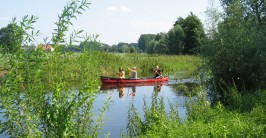 Drei Personen paddeln in einem Kanu die Niers entlang.